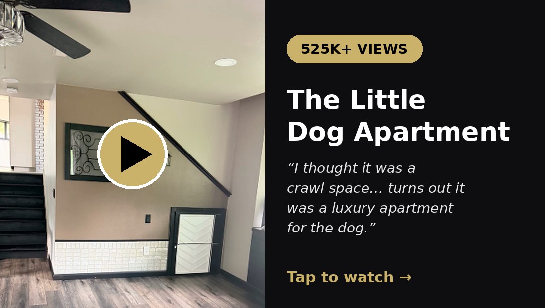 Watch The Little Dog Apartment reel, over 525,000 views